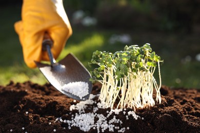 Photo of Man fertilizing soil with growing young microgreens outdoors, selective focus