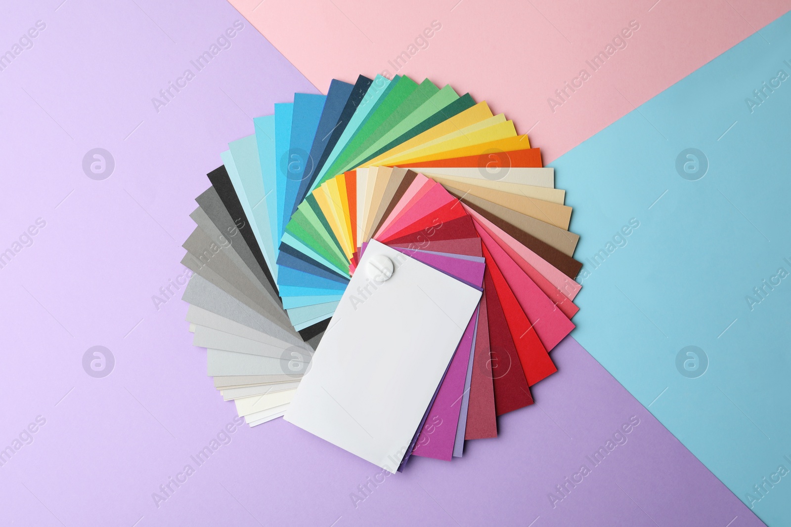 Photo of Color palette on bright background, top view