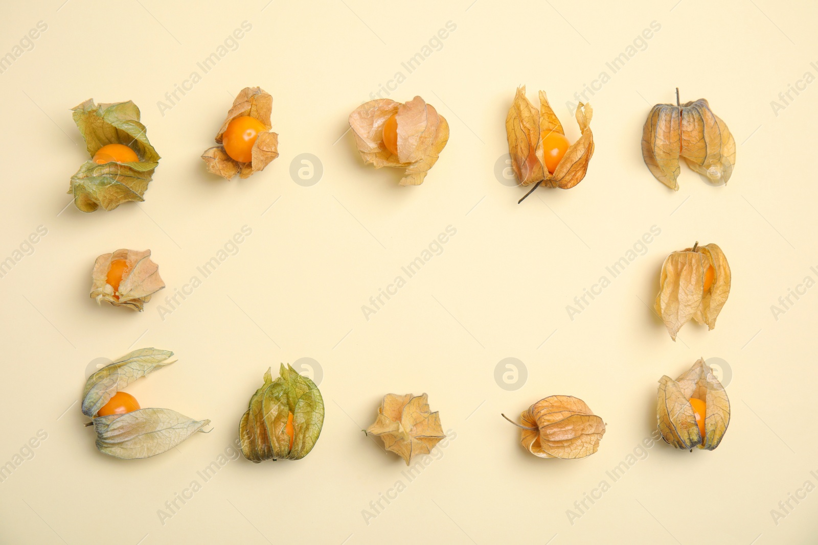 Photo of Ripe physalis fruits with dry husk on beige background, flat lay. Space for text