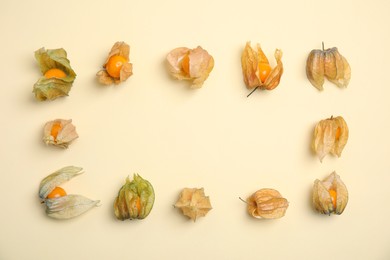 Ripe physalis fruits with dry husk on beige background, flat lay. Space for text