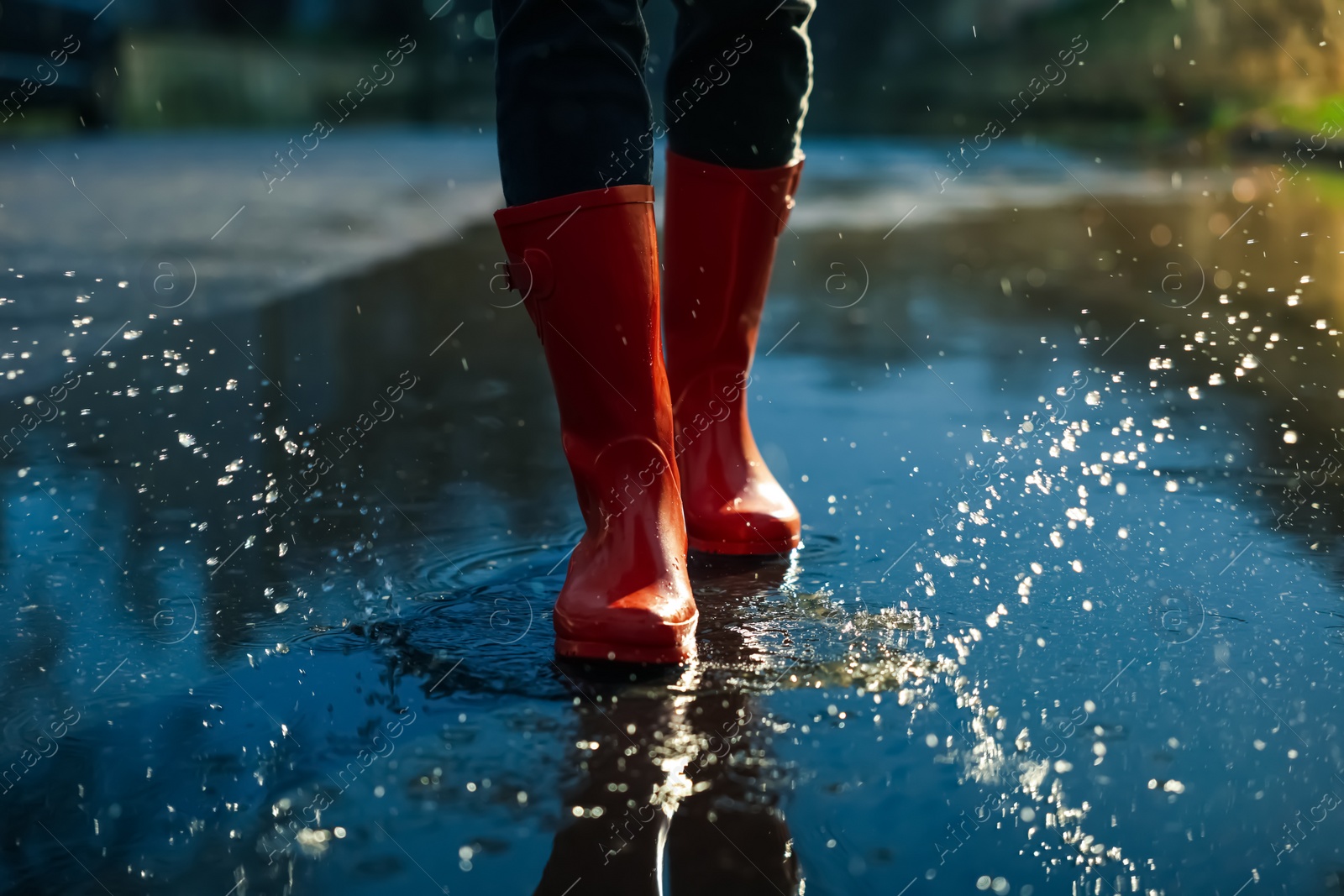 Photo of Woman with red rubber boots walking in puddle, closeup. Rainy weather