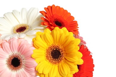 Photo of Bouquet of beautiful colorful gerbera flowers on white background, closeup