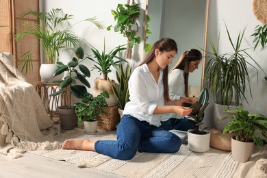 Photo of Young woman with different houseplants sitting near mirror in room