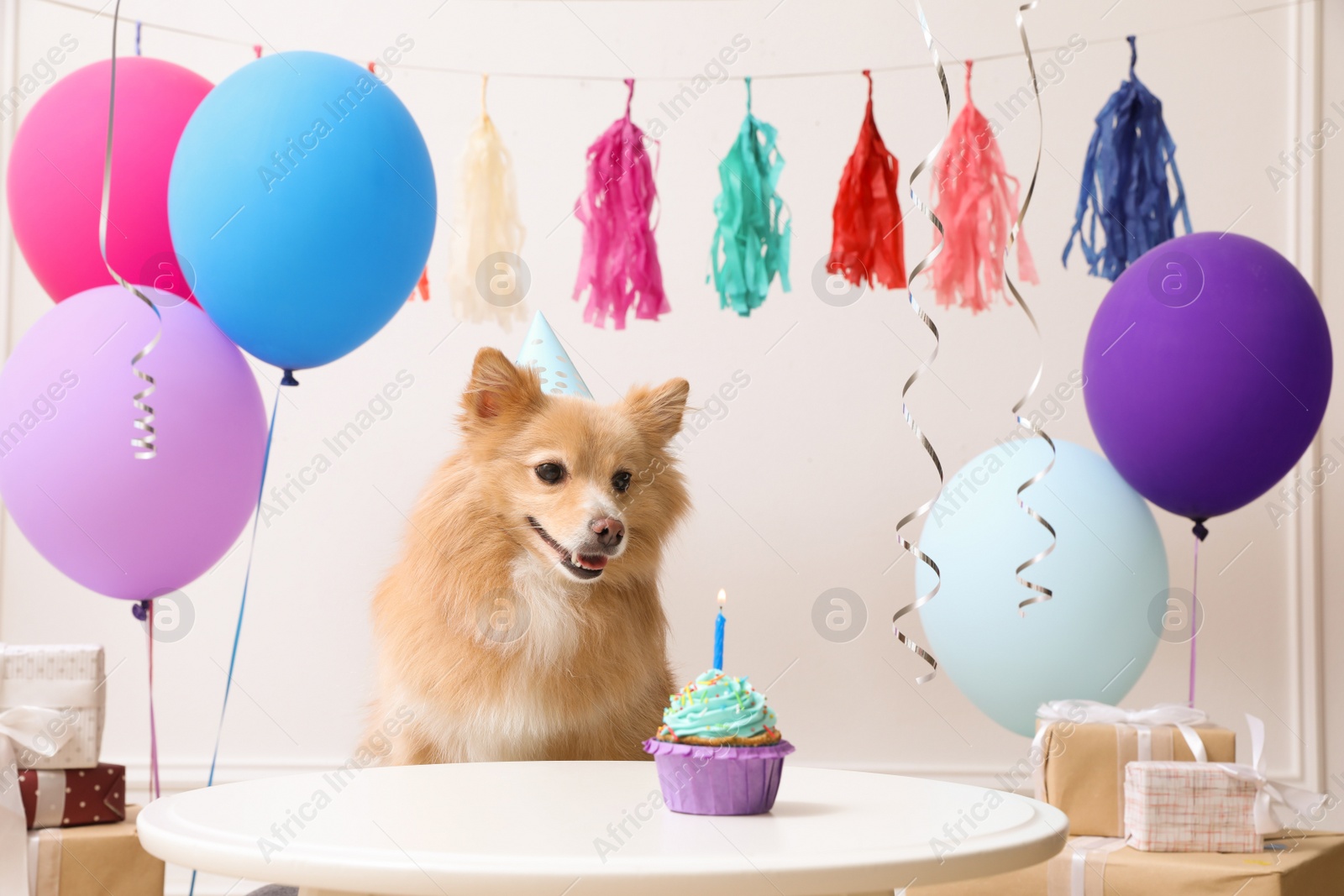 Photo of Cute dog wearing party hat at table with delicious birthday cupcake in decorated room