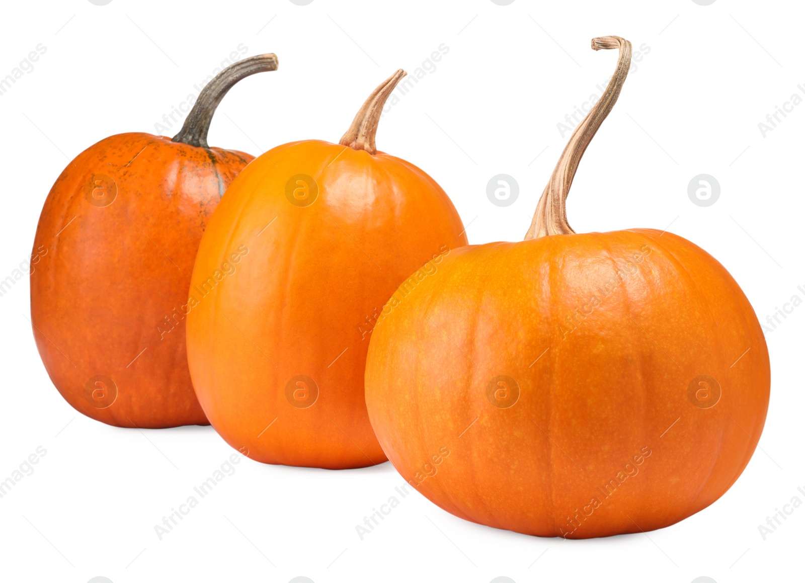 Photo of Many fresh orange pumpkins isolated on white