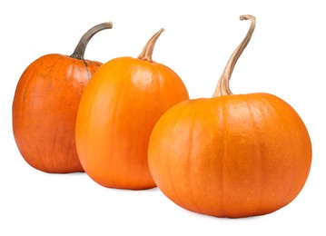 Many fresh orange pumpkins isolated on white