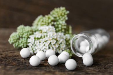 Photo of Bottle, homeopathic remedy and flowers on wooden table, closeup