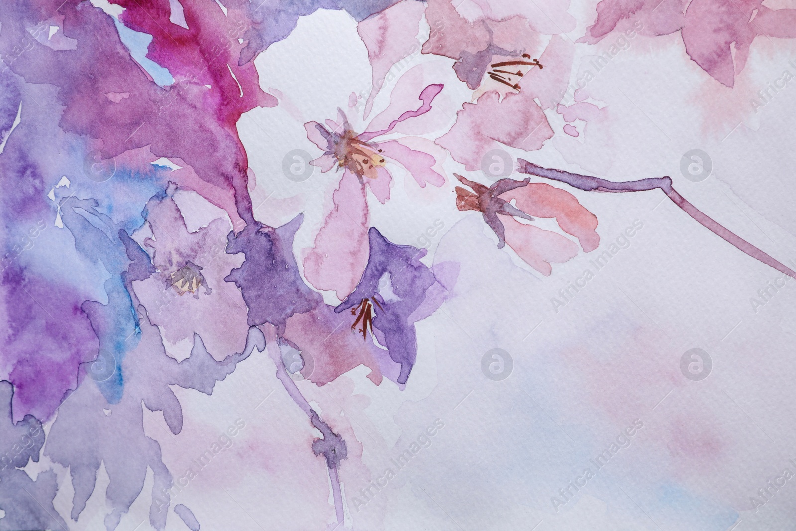 Photo of Closeup view of beautiful floral watercolor painting