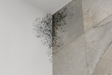 Image of White and grey walls affected with mold in bathroom