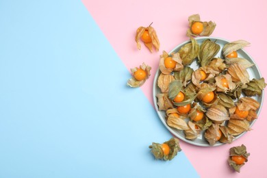 Photo of Ripe physalis fruits with dry husk on color background, flat lay. Space for text