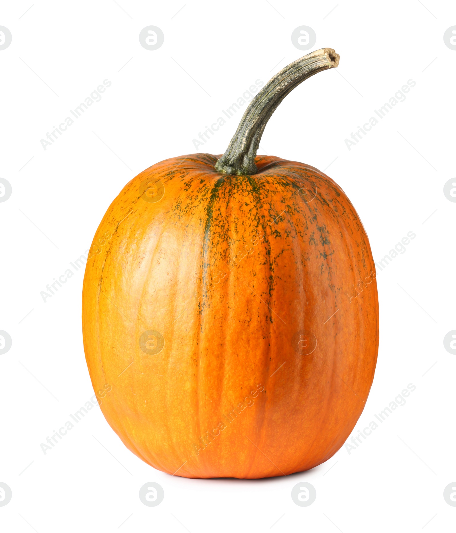 Photo of One fresh orange pumpkin isolated on white