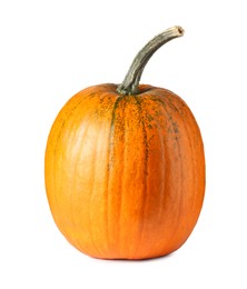 Photo of One fresh orange pumpkin isolated on white