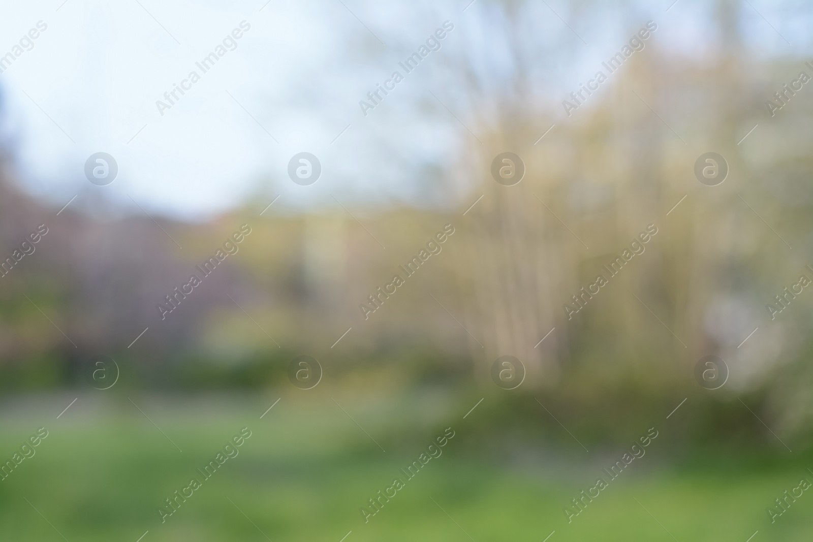 Photo of Blurred view of green lawn in park. Bokeh effect