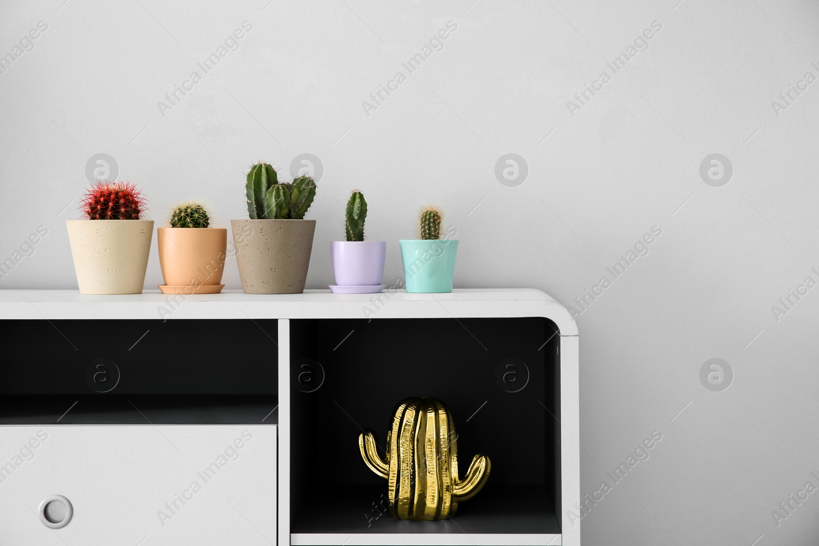 Photo of Beautiful cacti in flowerpots on white cabinet indoors