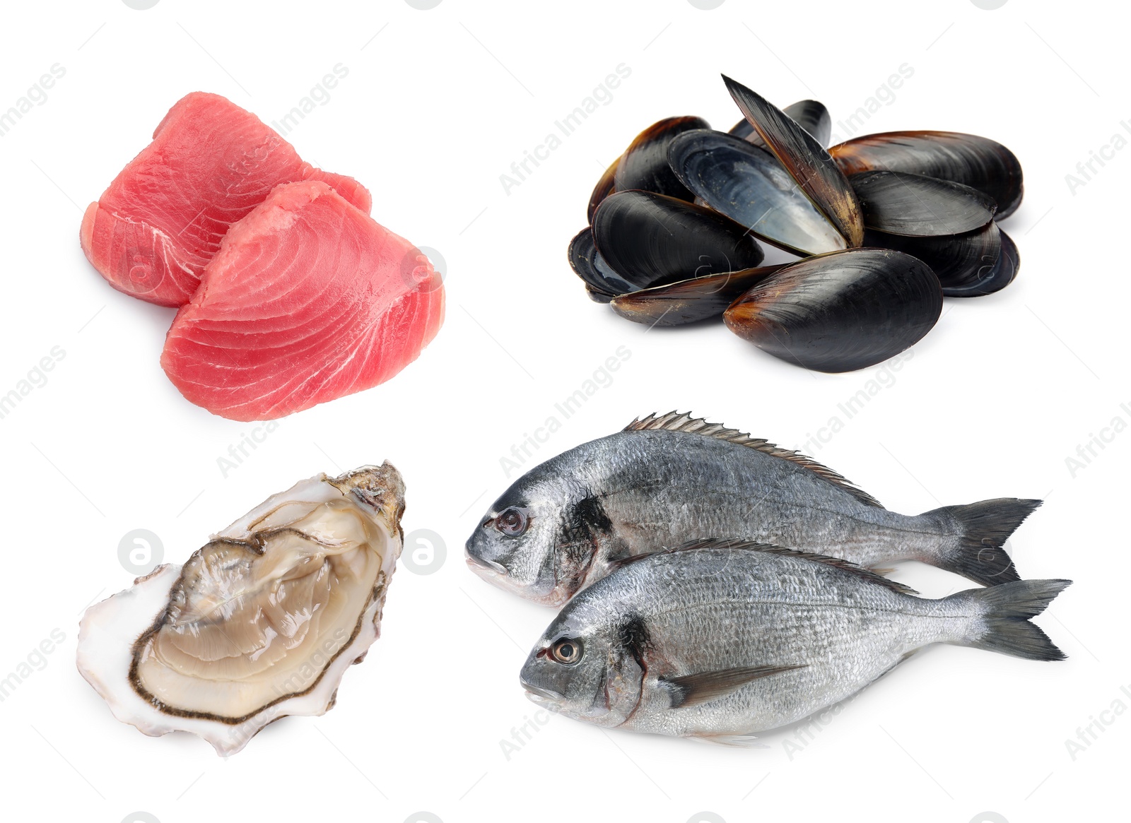 Image of Dorado fish, mussels, pieces of raw tuna and oyster isolated on white, set