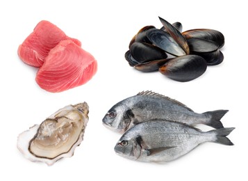 Dorado fish, mussels, pieces of raw tuna and oyster isolated on white, set