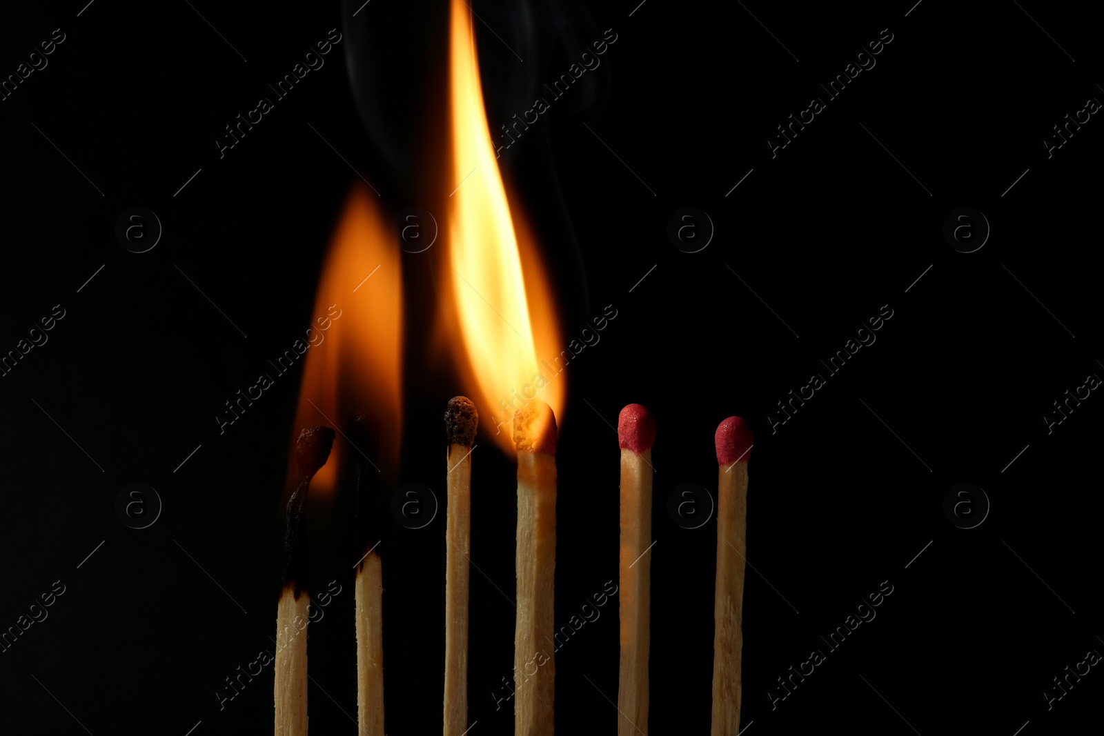 Photo of Burning and whole matches on black background, closeup. Stop destruction concept