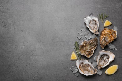 Photo of Fresh oysters with lemon, rosemary and ice on grey table, flat lay. Space for text