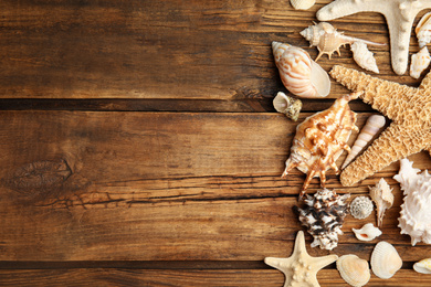 Photo of Different sea shells on wooden table, flat lay. Space for text