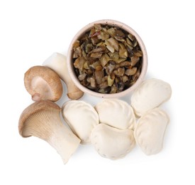 Photo of Raw dumplings (varenyky) and cooked mushrooms isolated on white, top view