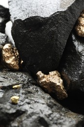 Shiny gold nuggets on wet stones, closeup