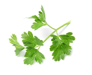 Fresh green organic parsley on white background