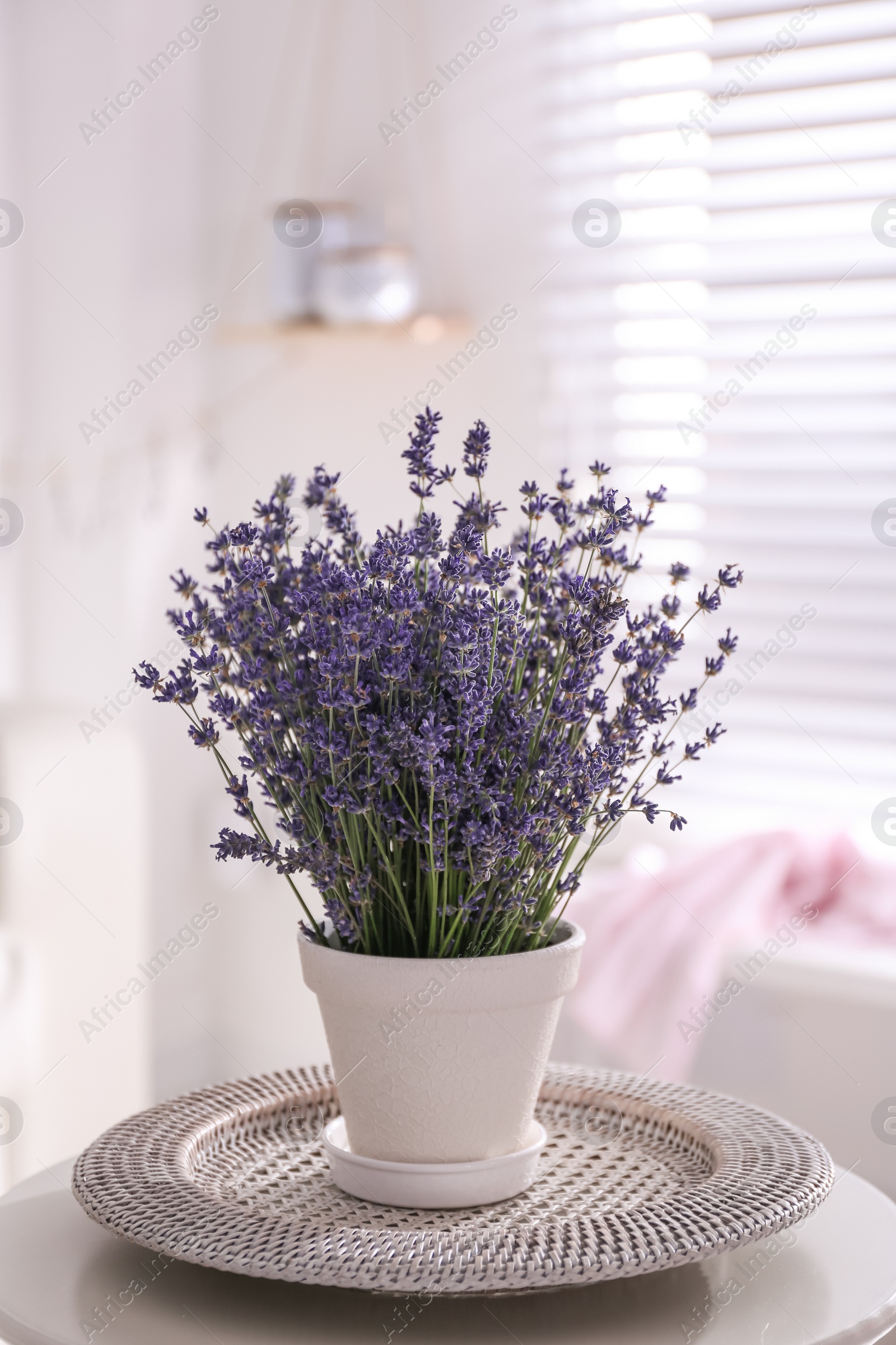 Photo of Beautiful lavender flowers on white table indoors