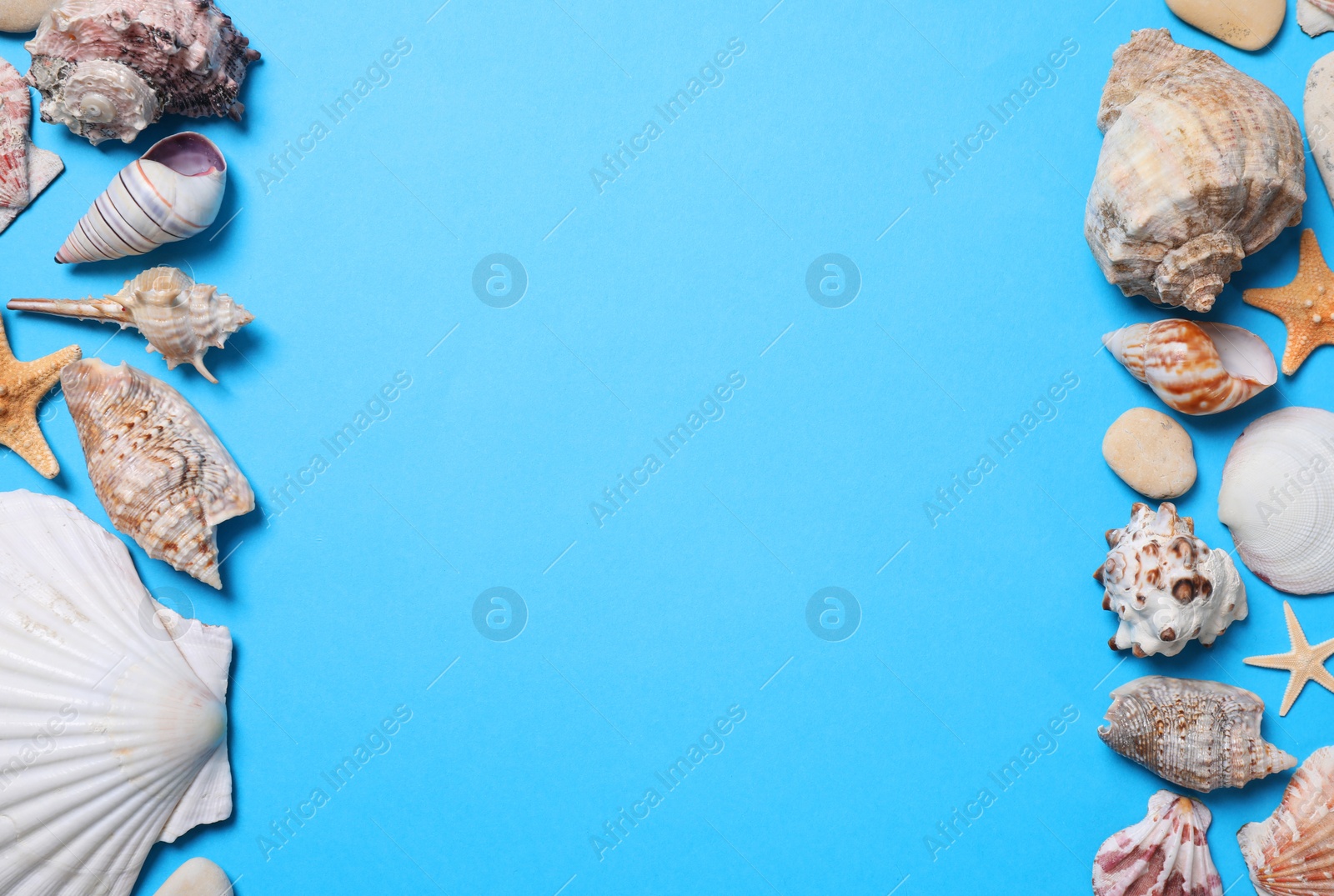 Photo of Flat lay composition with seashells on light blue background, space for text