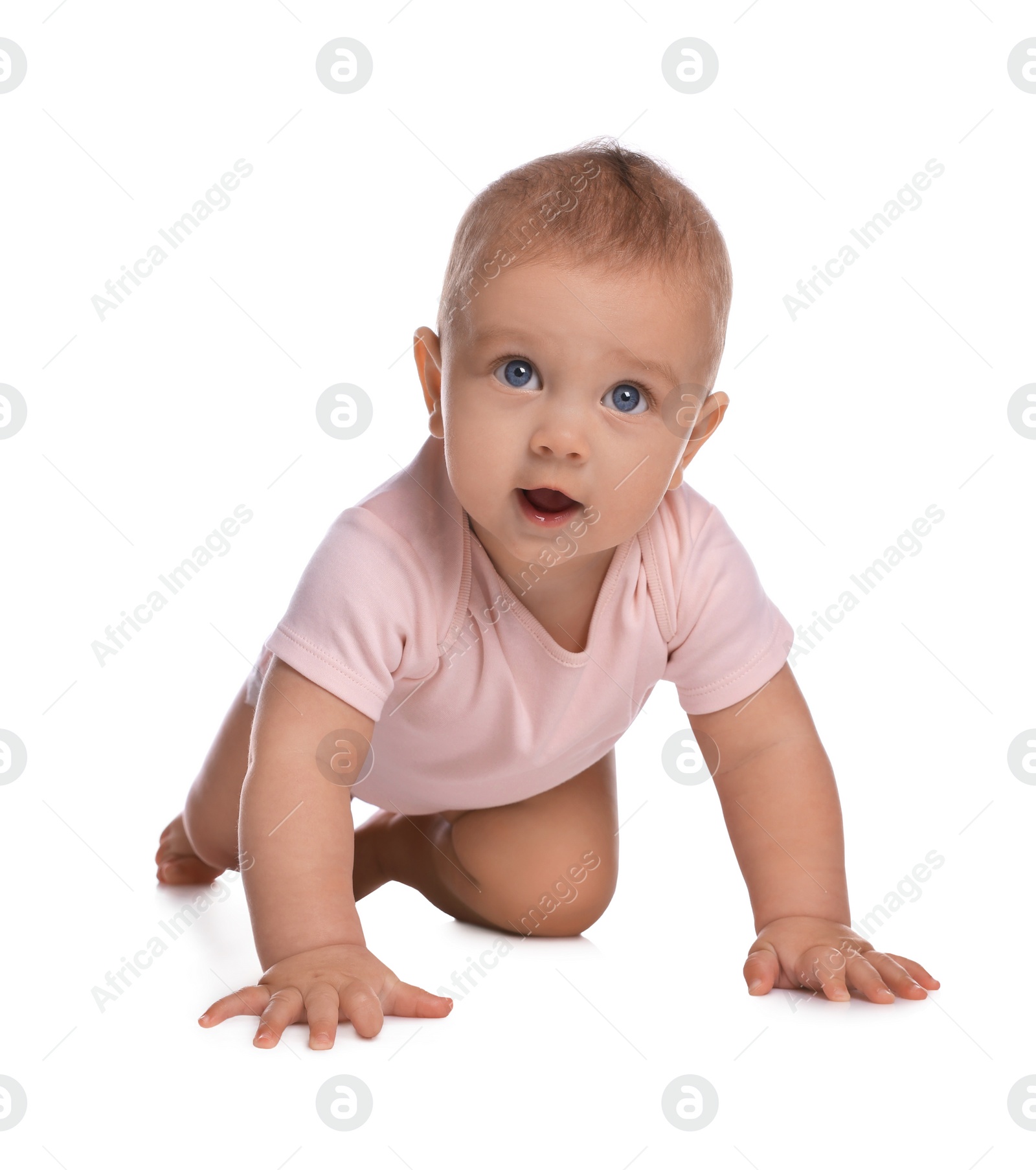 Photo of Cute little baby girl crawling on white background