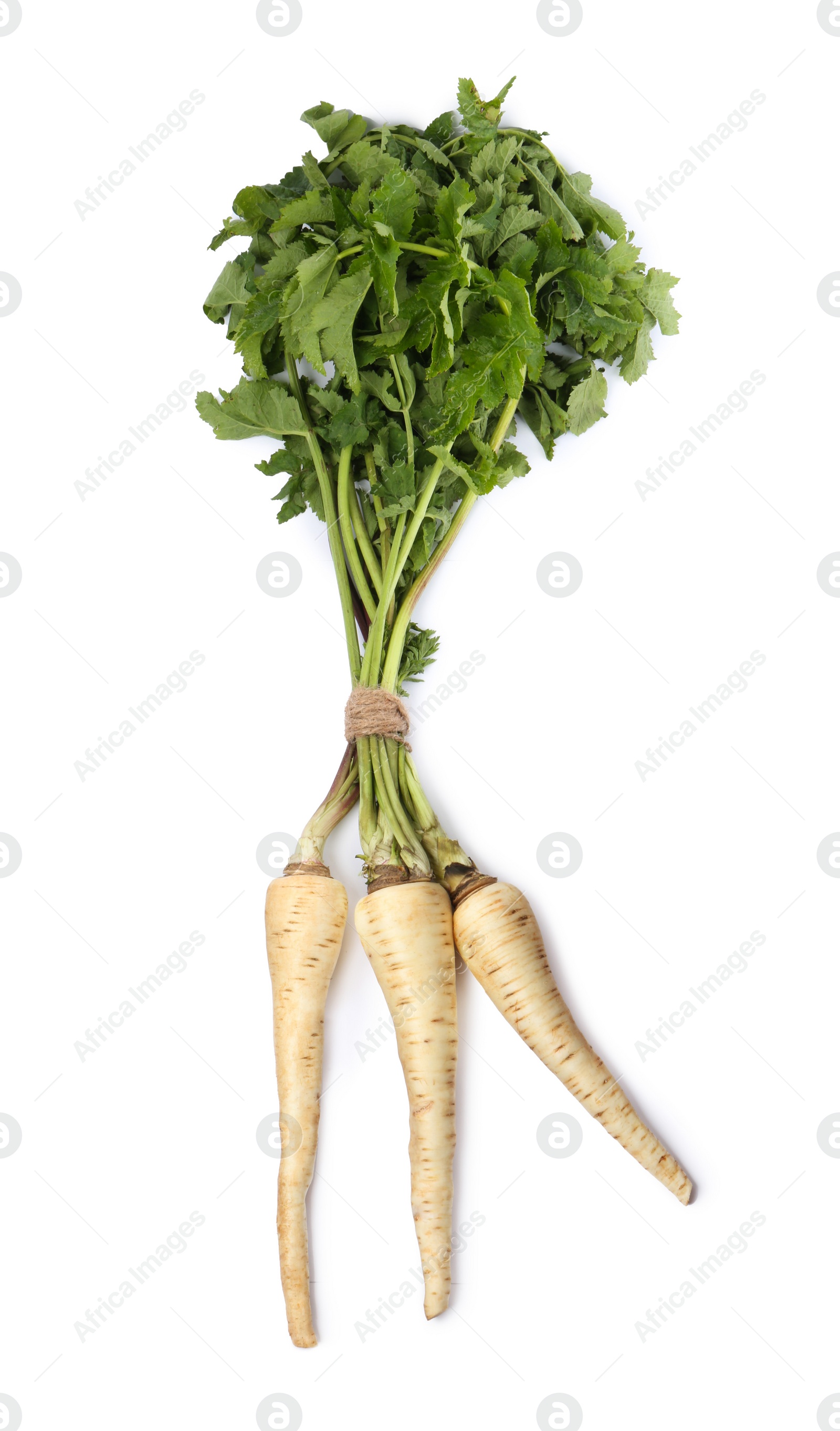 Photo of Tasty fresh ripe parsnips on white background, top view