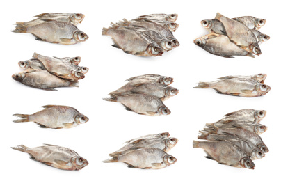 Image of Set of tasty dry fish on white background