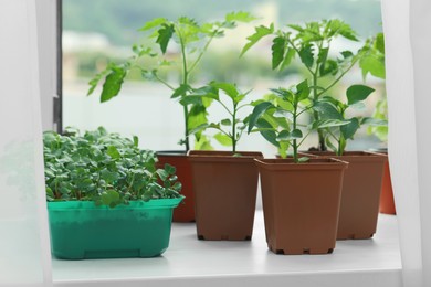 Different seedlings growing in plastic containers with soil on windowsill indoors