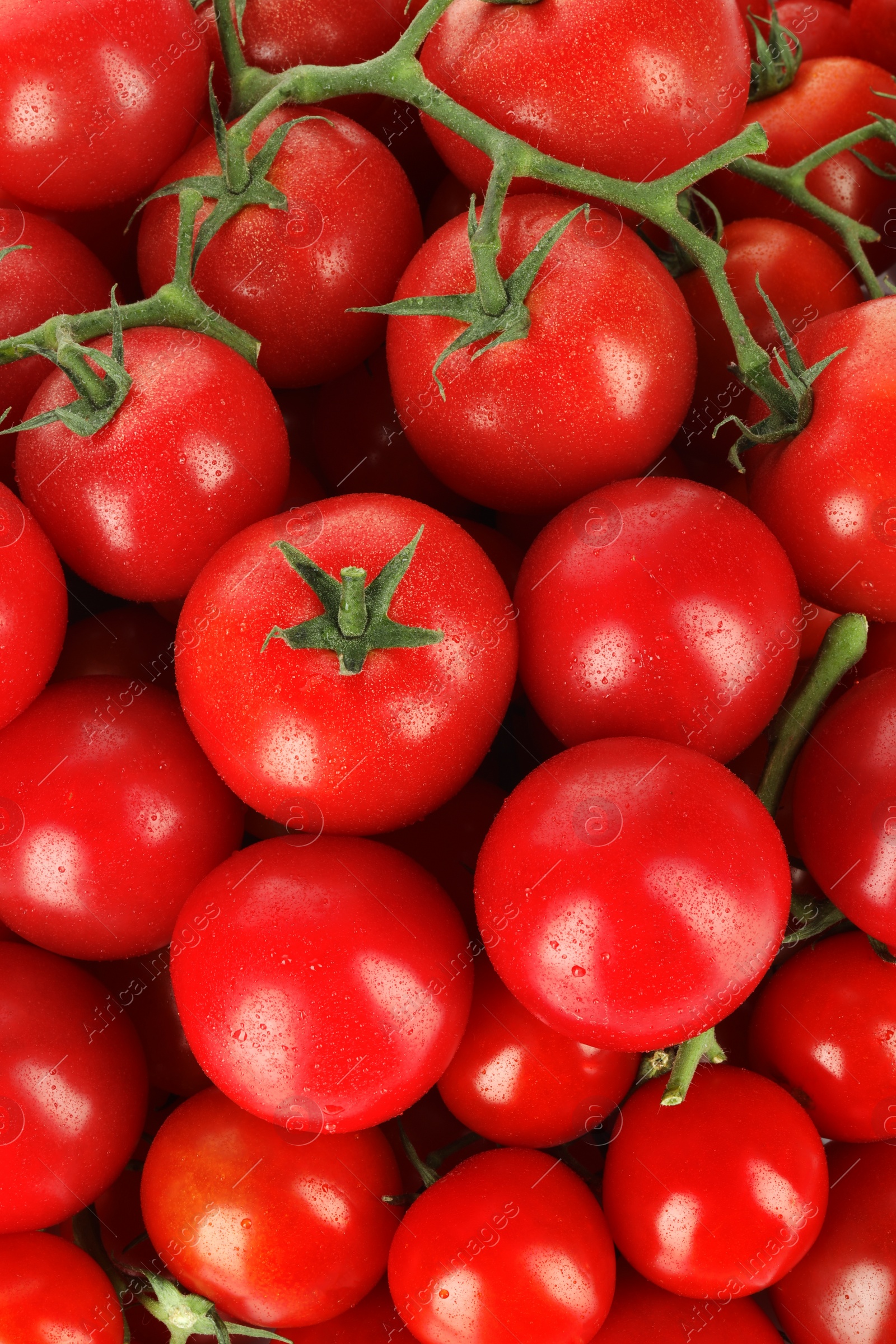 Photo of Many fresh ripe cherry tomatoes with water drops as background, top view