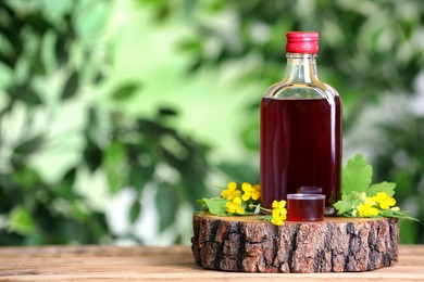 Photo of Bottle of celandine tincture and plant on wooden table outdoors, space for text