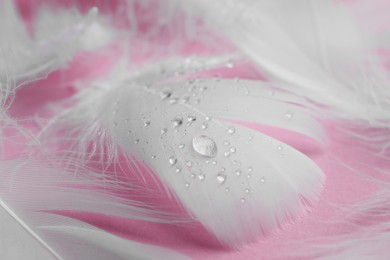 Fluffy white feathers with water drops on pink background, closeup