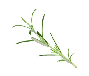 Photo of Sprig of fresh rosemary isolated on white