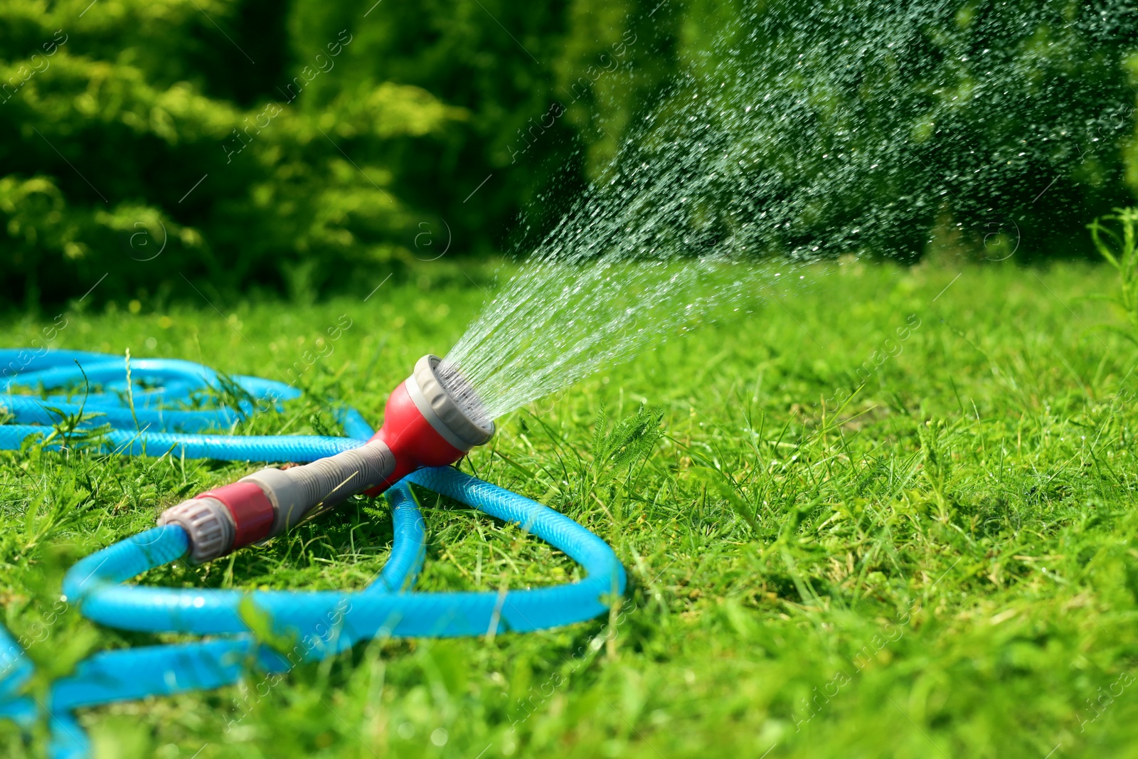 Photo of Water spraying from hose on green grass outdoors