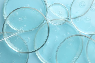 Photo of Petri dishes with liquid samples and pipette on light blue background, top view