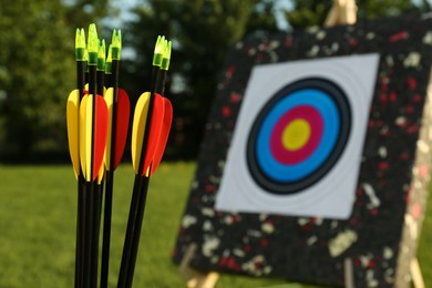 Photo of Many arrows against near target in park, closeup. Space for text