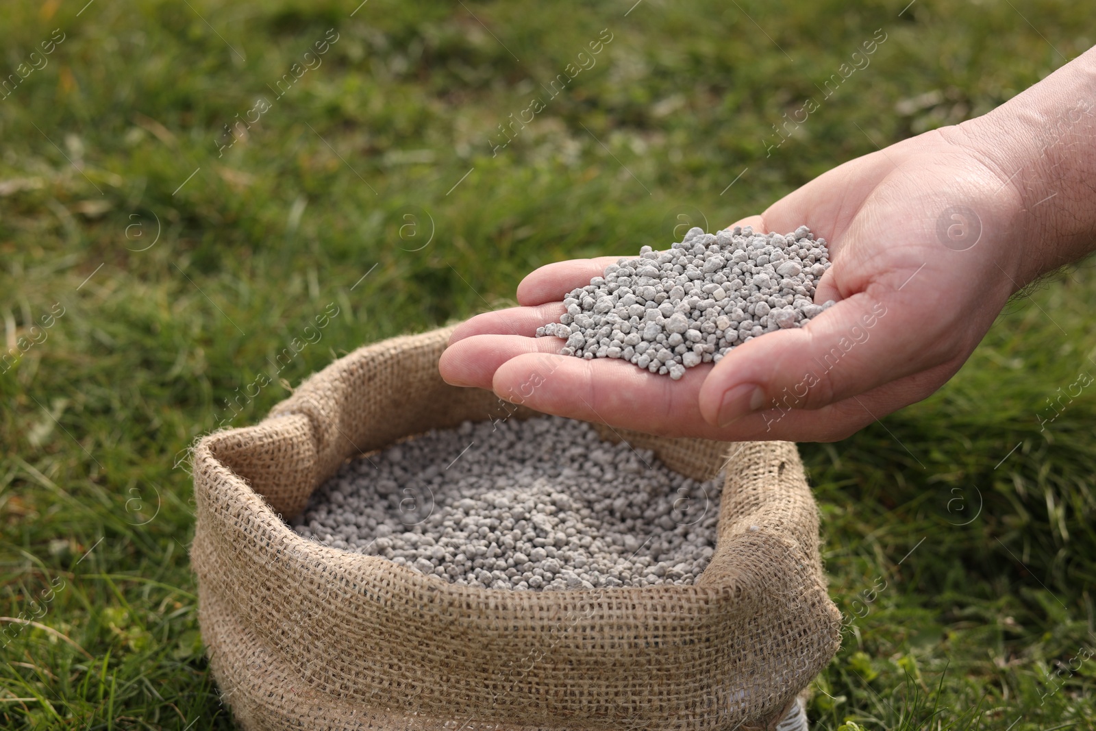 Photo of Man with fertilizer on green grass outdoors, closeup