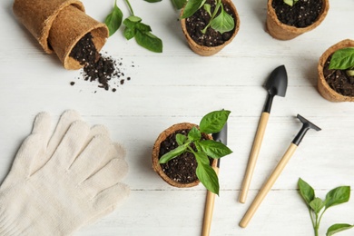 Photo of Flat lay composition with vegetable seedlings on white wooden table