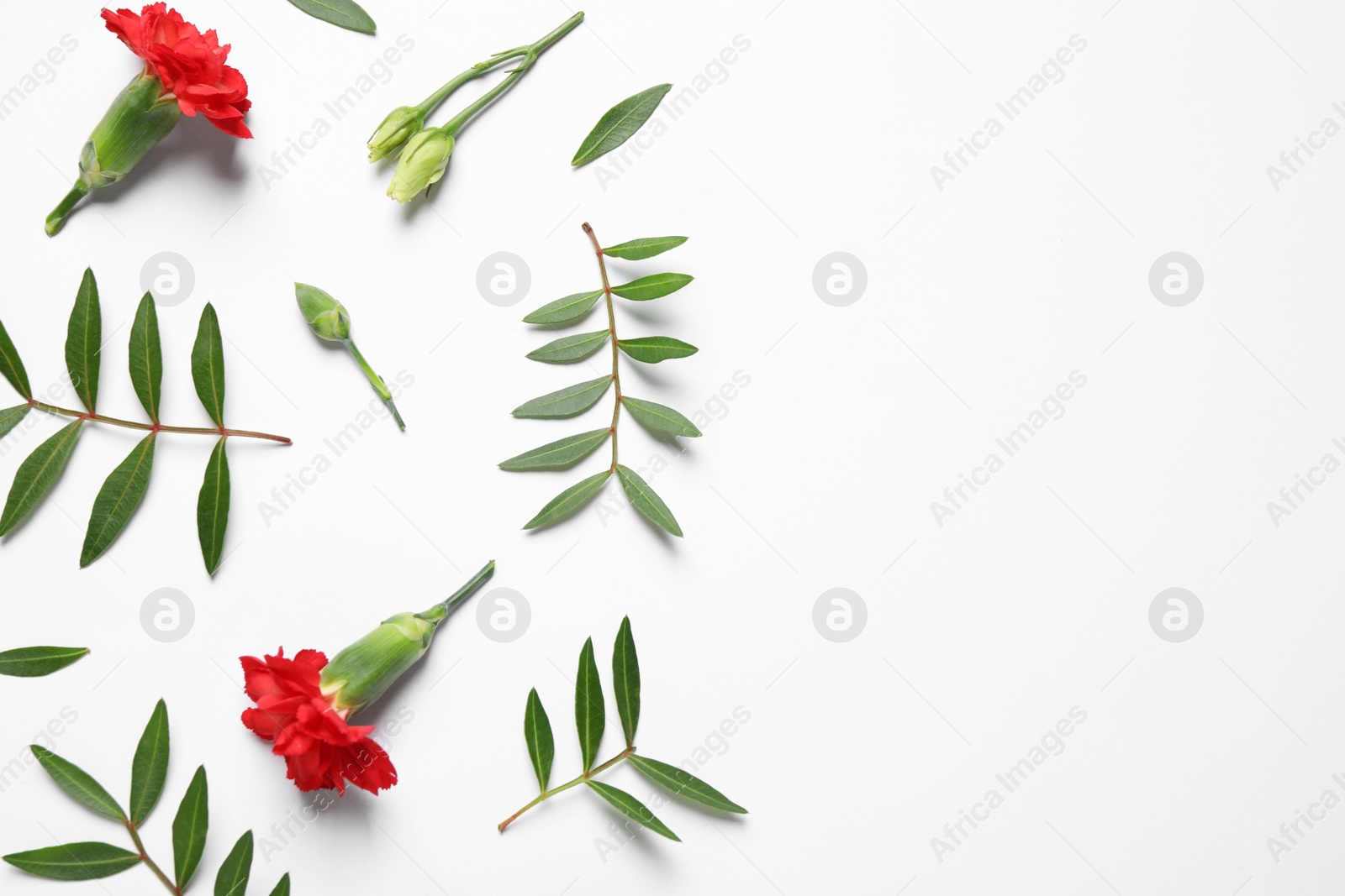 Photo of Composition with beautiful flowers on white background, top view. Floral card design