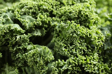 Fresh green kale leaves as background, closeup