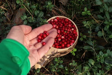 Woman holding tasty lingonberries near wooden cup outdoors, above view