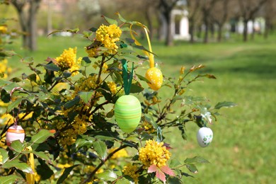 Beautifully painted Easter eggs hanging on tree outdoors