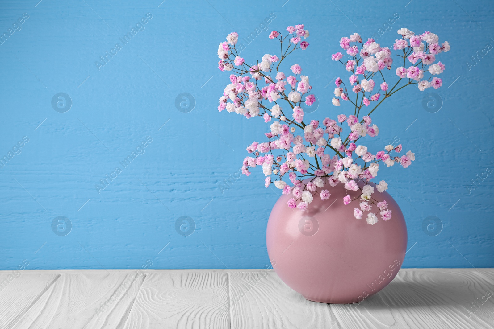 Photo of Beautiful dyed gypsophila flowers in pink vase on white wooden table against light blue background. Space for text