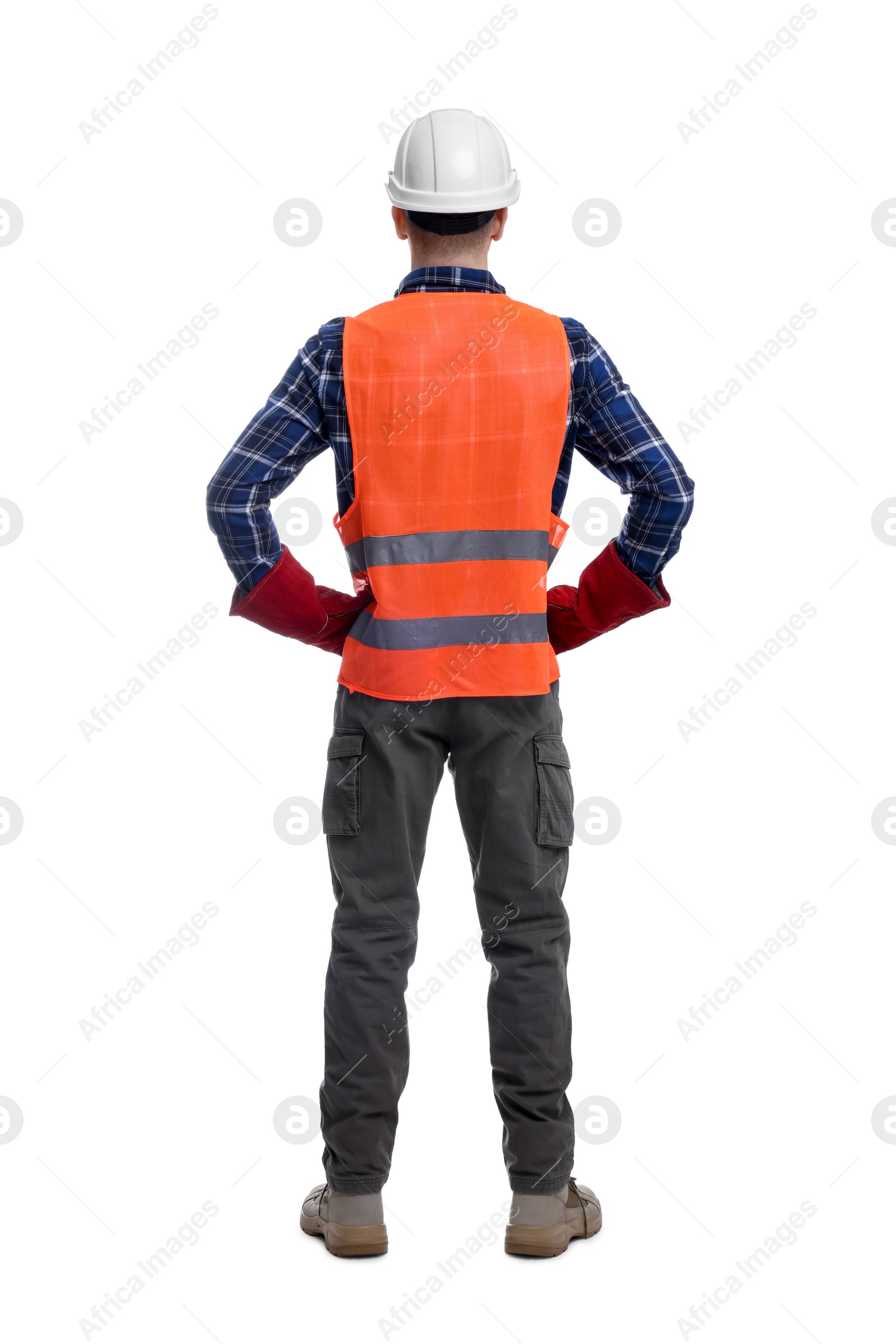 Photo of Young man wearing safety equipment on white background, back view