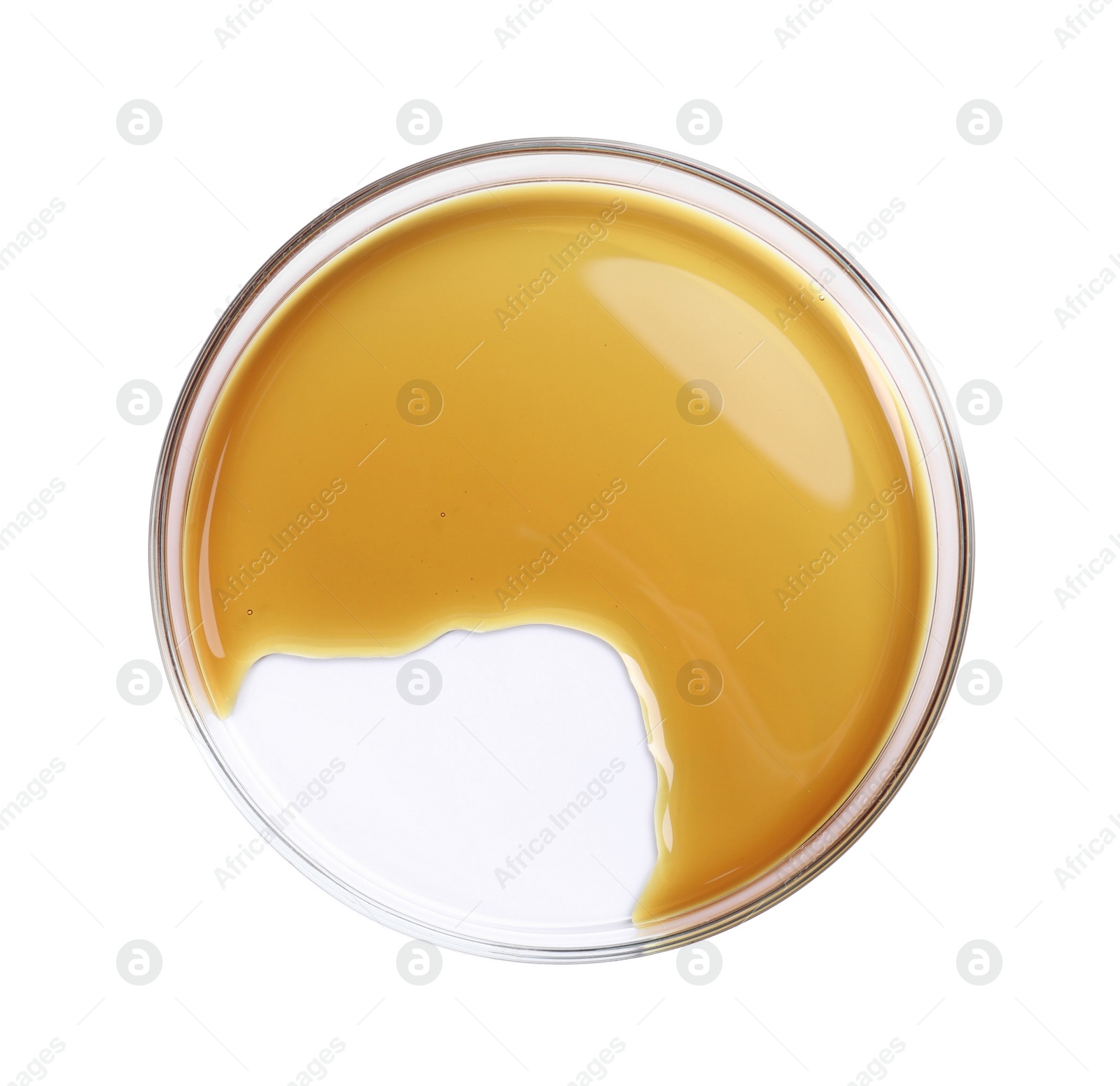 Photo of Petri dish with color liquid sample isolated on white, top view