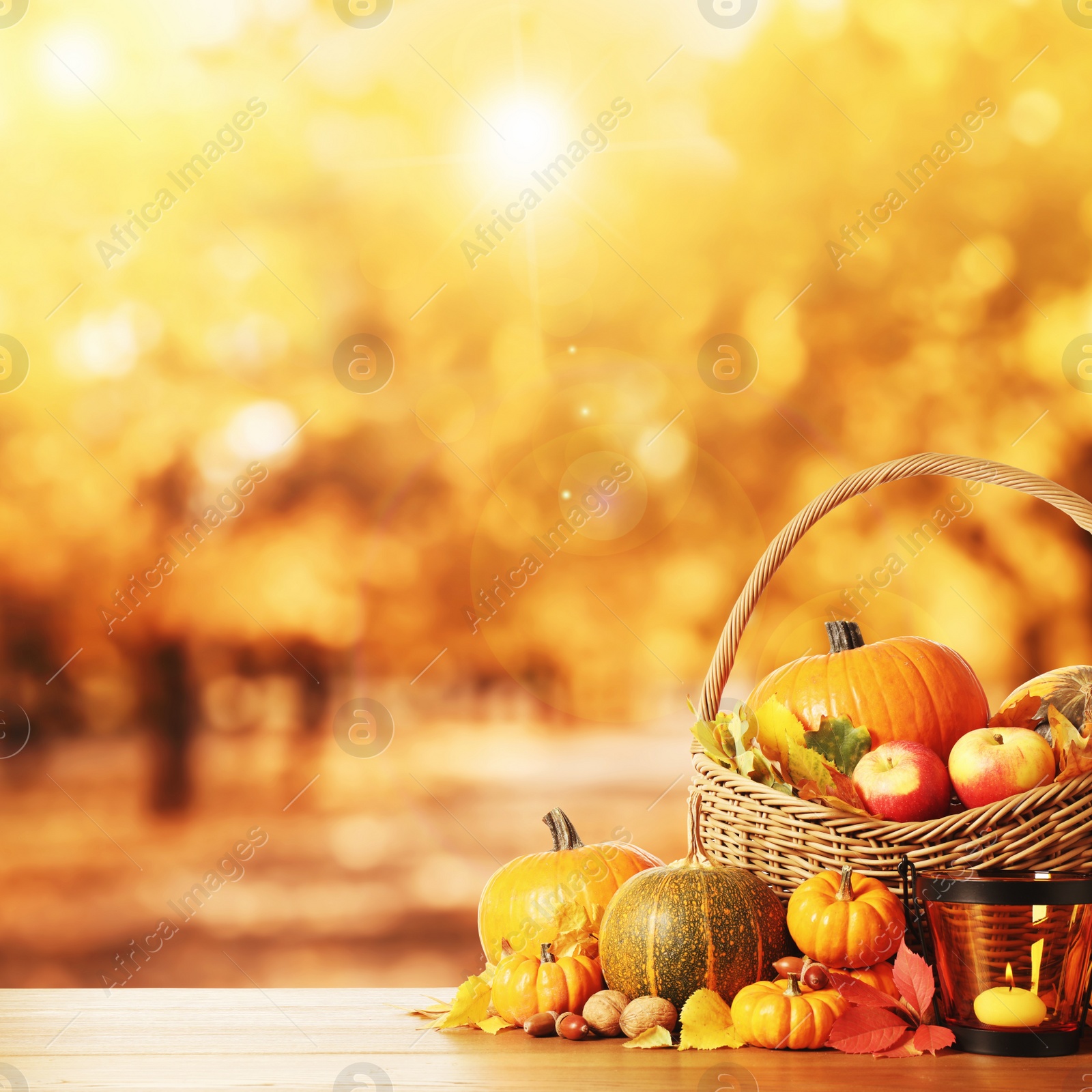 Image of Happy Thanksgiving day. Fresh pumpkins, acorns, apples, walnuts and fallen leaves on wooden table outdoors, space for text 