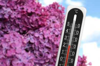 Image of Thermometer and blossoming lilac tree outdoors. Temperature in spring